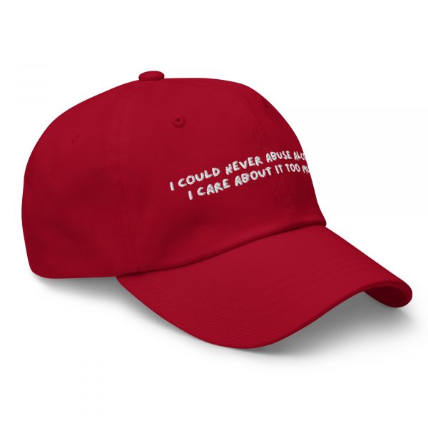 'I Could Never Abuse Alcohol' Hat - Image 8